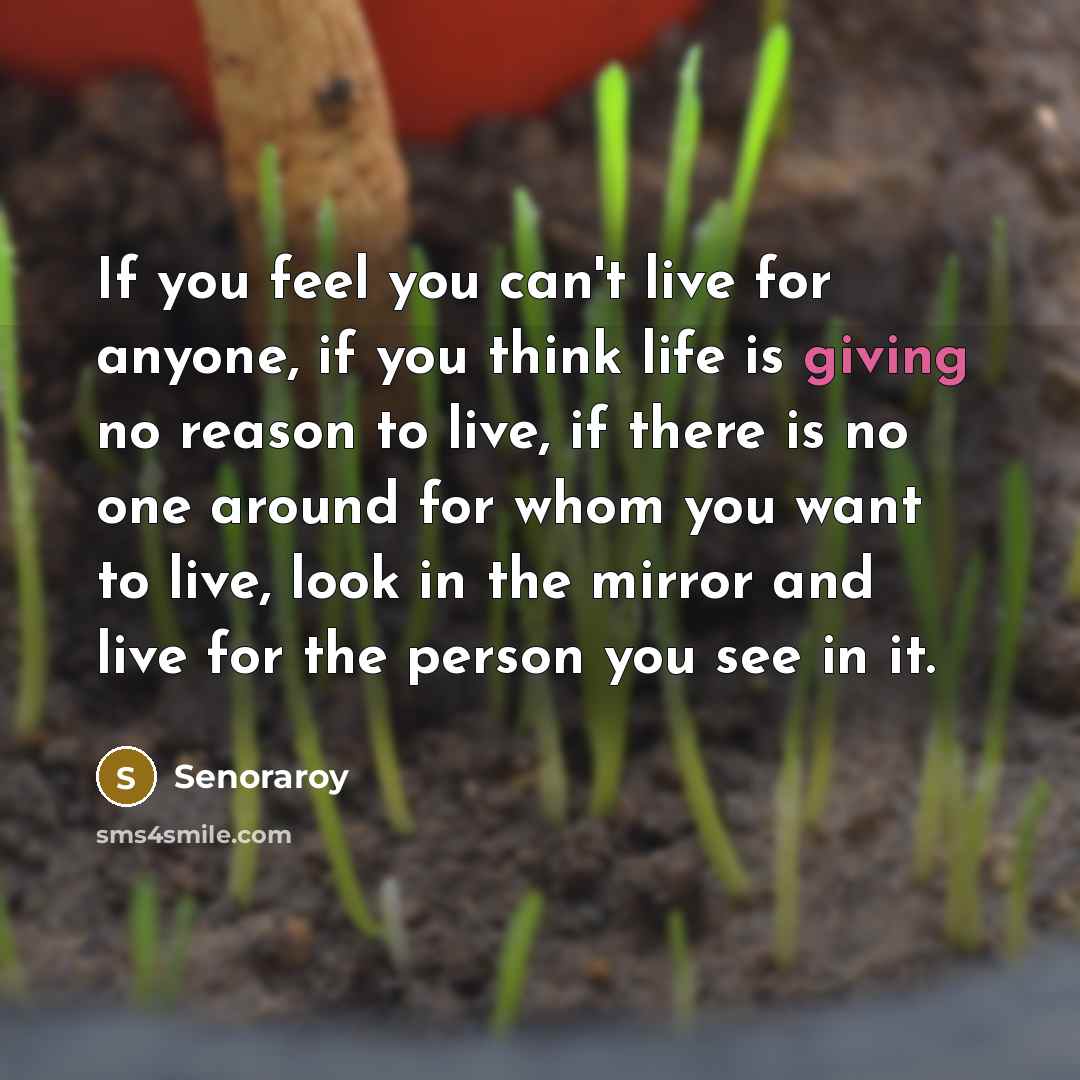 “If you feel you can't live for anyone, if you…” quote by Senoraroy