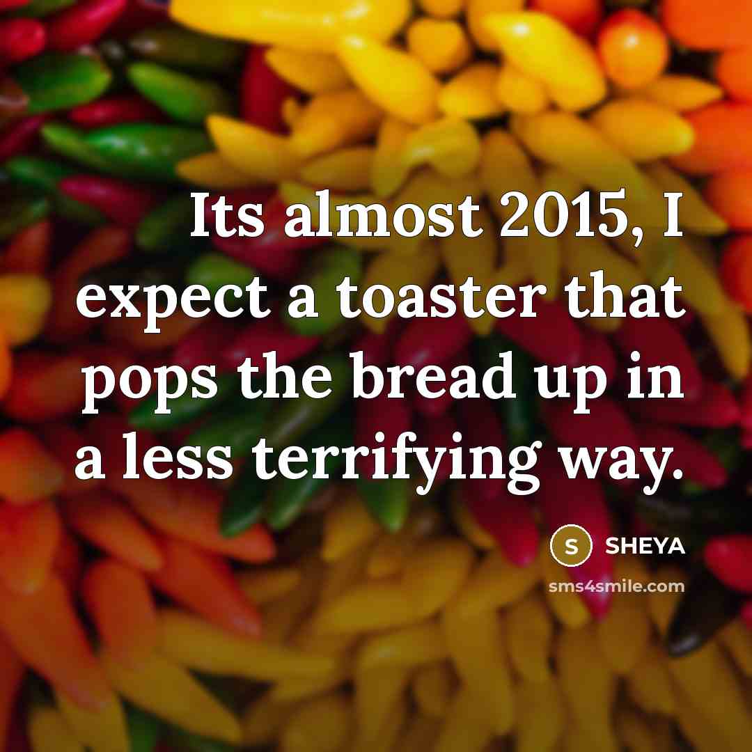 “Its almost 2015, I expect a toaster that pops the bread up in a less terrifying way.” quote by SHEYA