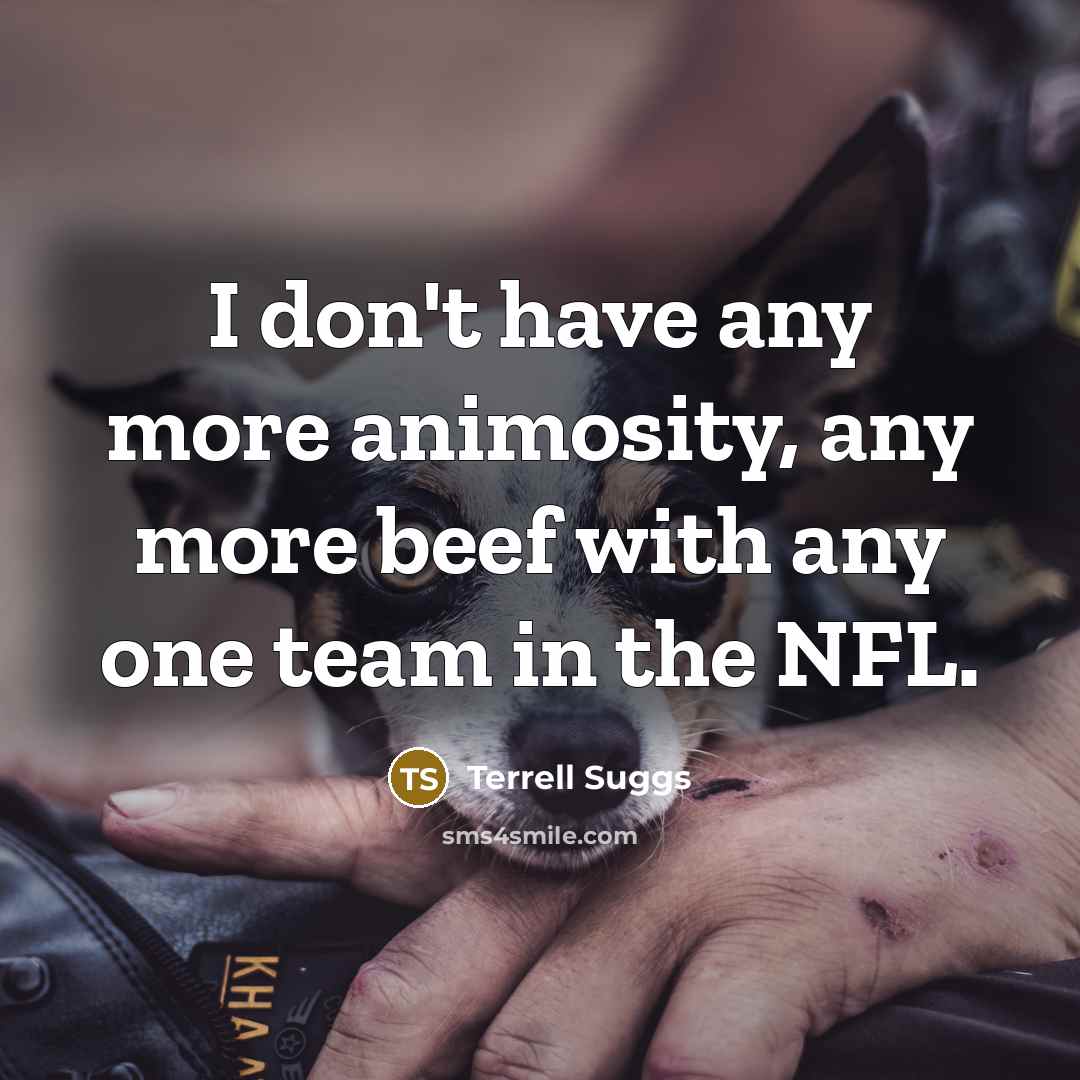 “I don't have any more animosity, any more beef with…” quote by Terrell Suggs