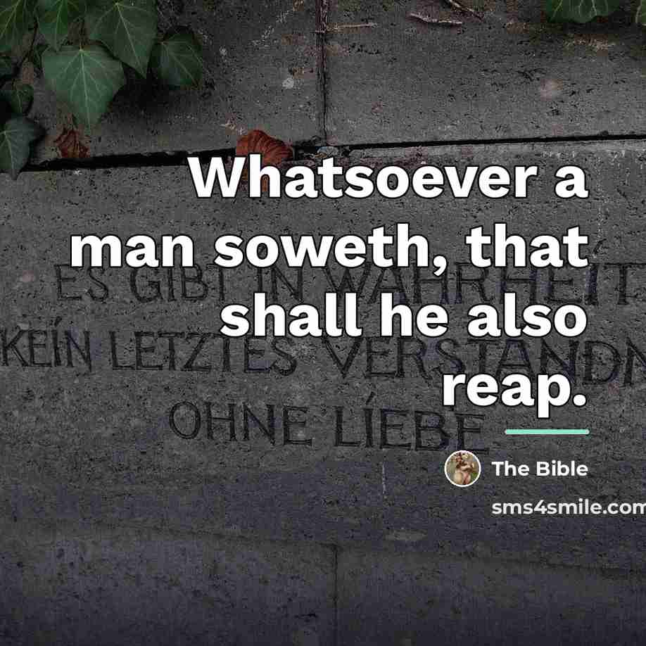 “Whatsoever a man soweth, that shall he also reap.…” quote by The Bible