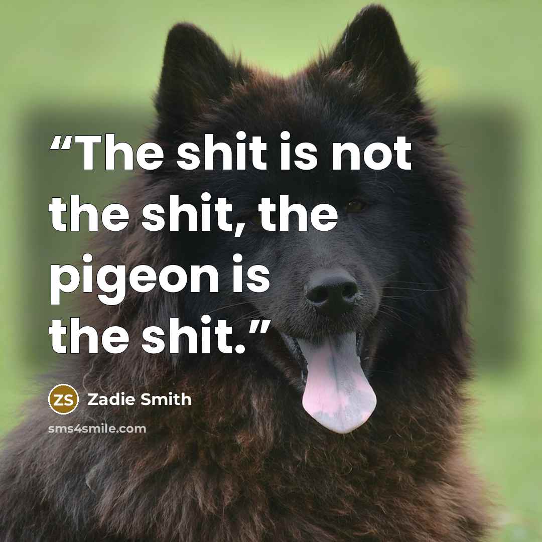“The shit is not the shit, the pigeon is the shit.” quote by Zadie Smith