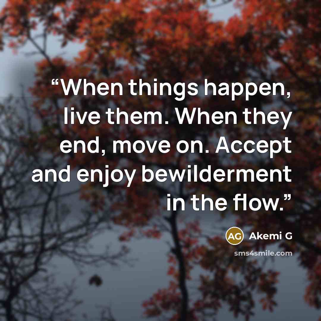 “When things happen, live them. When they end, move on. Accept and enjoy bewilderment in the flow.” quote by Akemi G