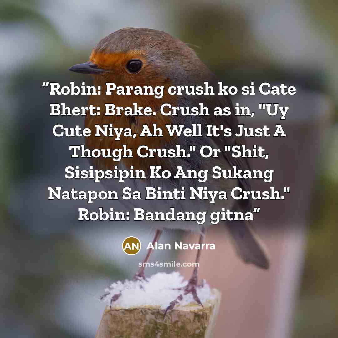 “Robin: Parang crush ko si Cate Bhert: Brake. Crush as in, "Uy Cute Niya, Ah Well It's Just A Though Crush." Or "Shit, Sisipsipin Ko Ang Sukang Natapon Sa Binti Niya Crush." Robin: Bandang gitna” quote by Alan Navarra