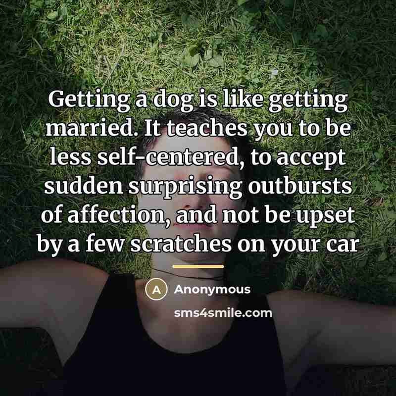 “Getting a dog is like getting married. It teaches you…” quote by Anonymous