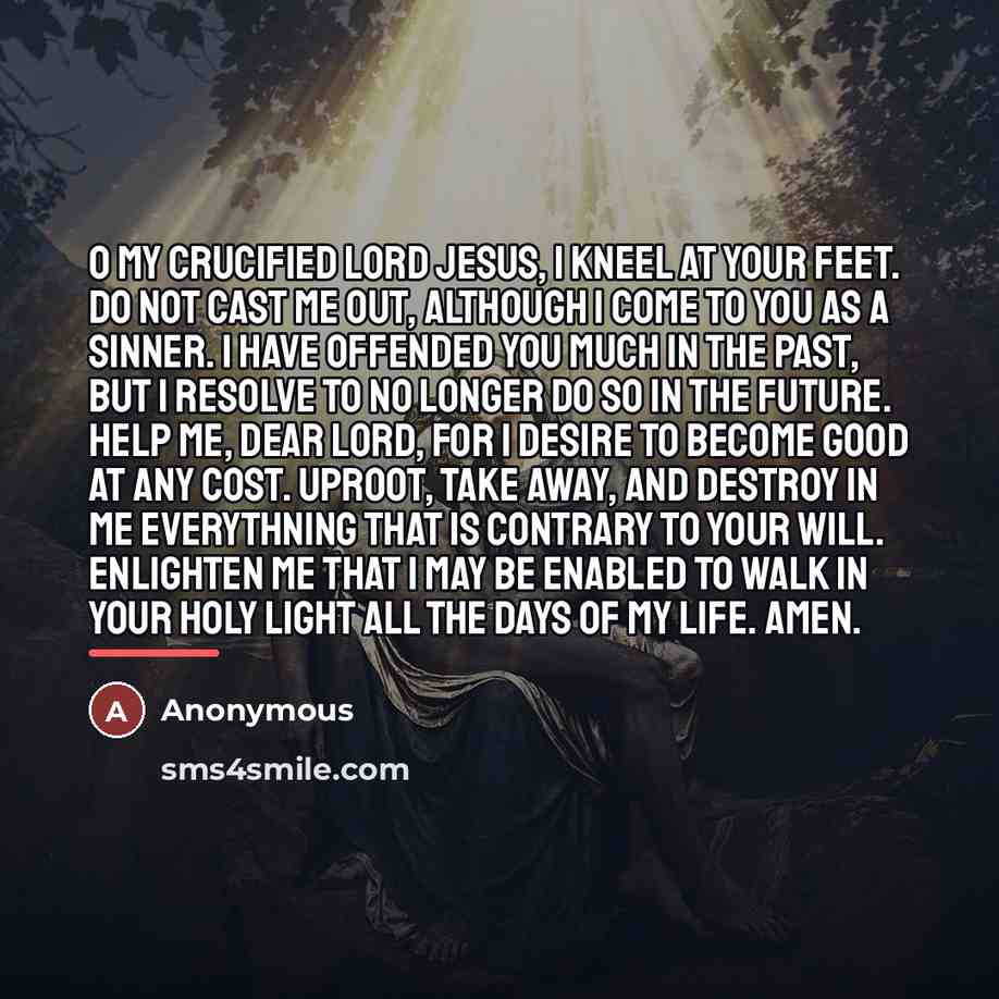 “O my crucified Lord Jesus, I kneel at your feet.…” quote by Anonymous