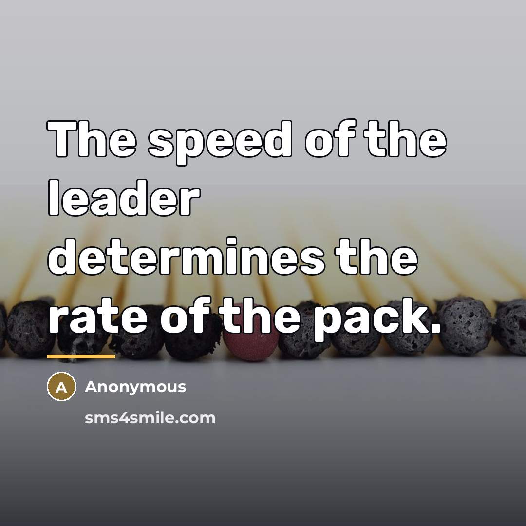 “The speed of the leader determines the rate of the…” quote by D. Wayne Lukas