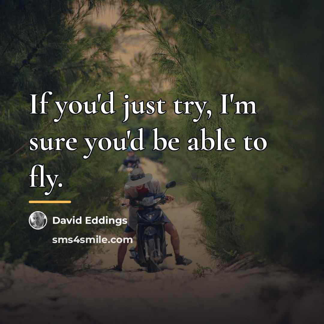 “If you'd just try, I'm sure you'd be able to…” quote by David Eddings