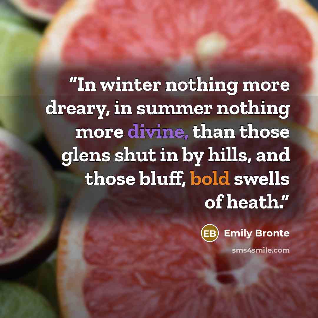 “In winter nothing more dreary, in summer nothing more divine, than those glens shut in by hills, and those bluff, bold swells of heath.” quote by Emily Brontë