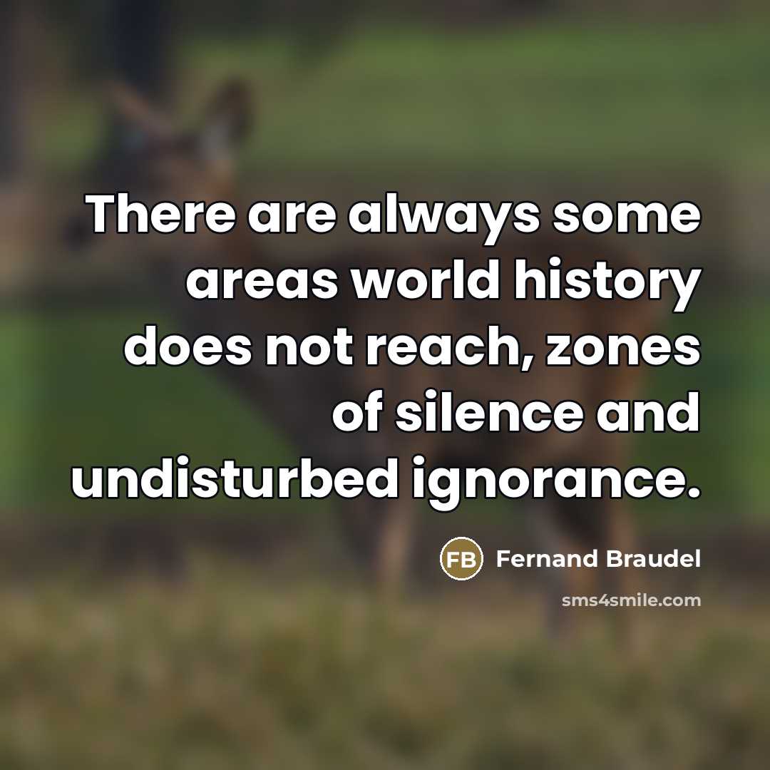 “There are always some areas world history does not reach,…” quote by Fernand Braudel