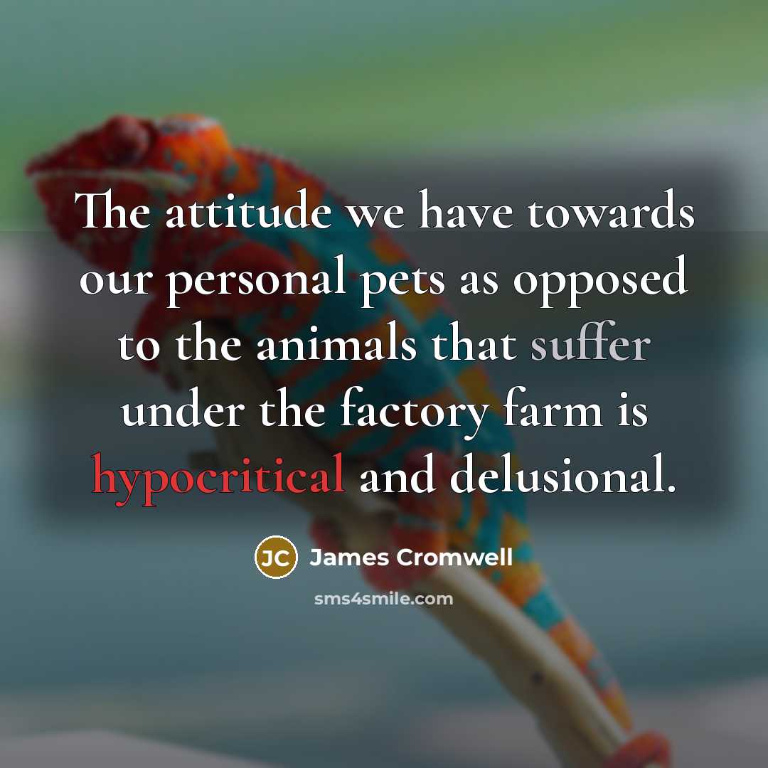 “The attitude we have towards our personal pets as opposed…” quote by James Cromwell