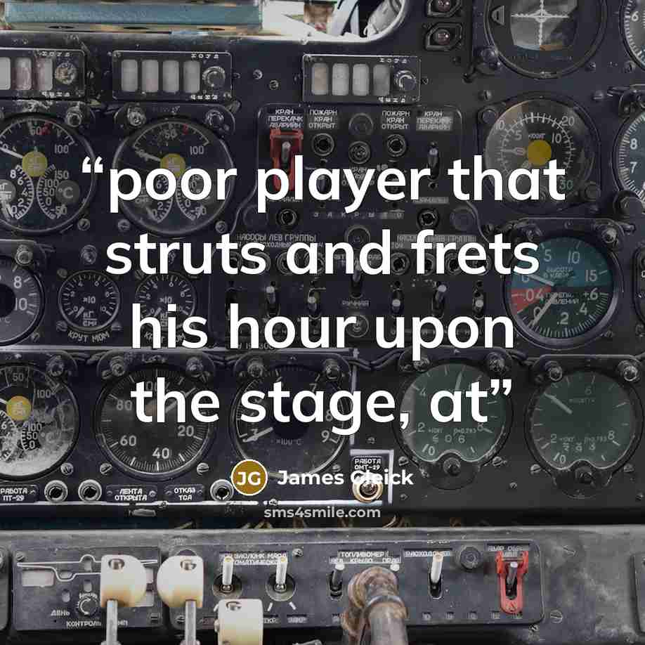 “poor player that struts and frets his hour upon the stage, at” quote by James Gleick