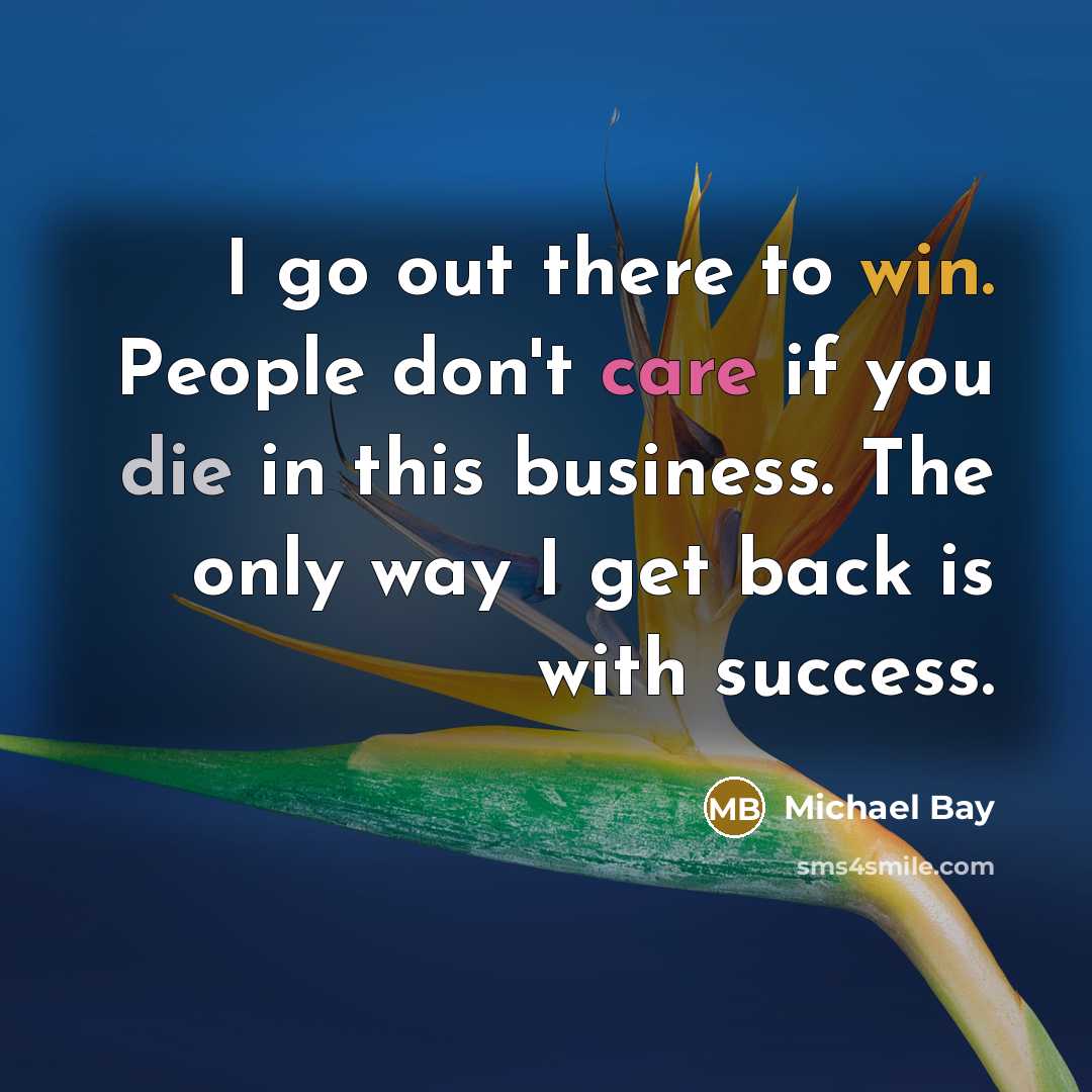 “I go out there to win. People don't care if…” quote by Michael Bay