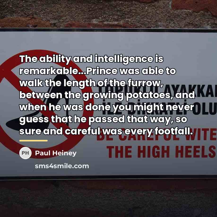“The ability and intelligence is remarkable...Prince was able to walk…” quote by Paul Heiney