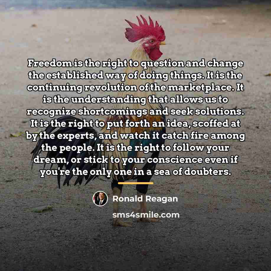 “Freedom is the right to question and change the established…” quote by Ronald Reagan