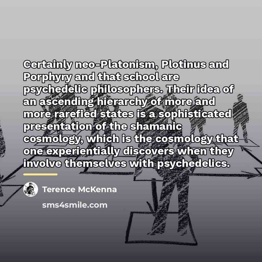 “Certainly neo-Platonism, Plotinus and Porphyry and that school are psychedelic…” quote by Terence McKenna
