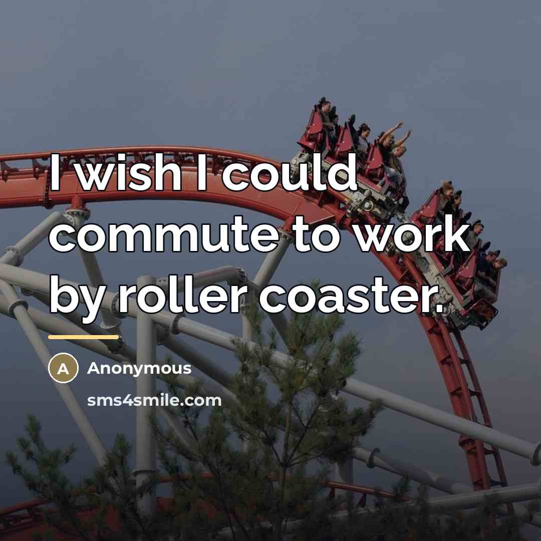 “I wish I could commute to work by roller coaster.…” quote by Anonymous