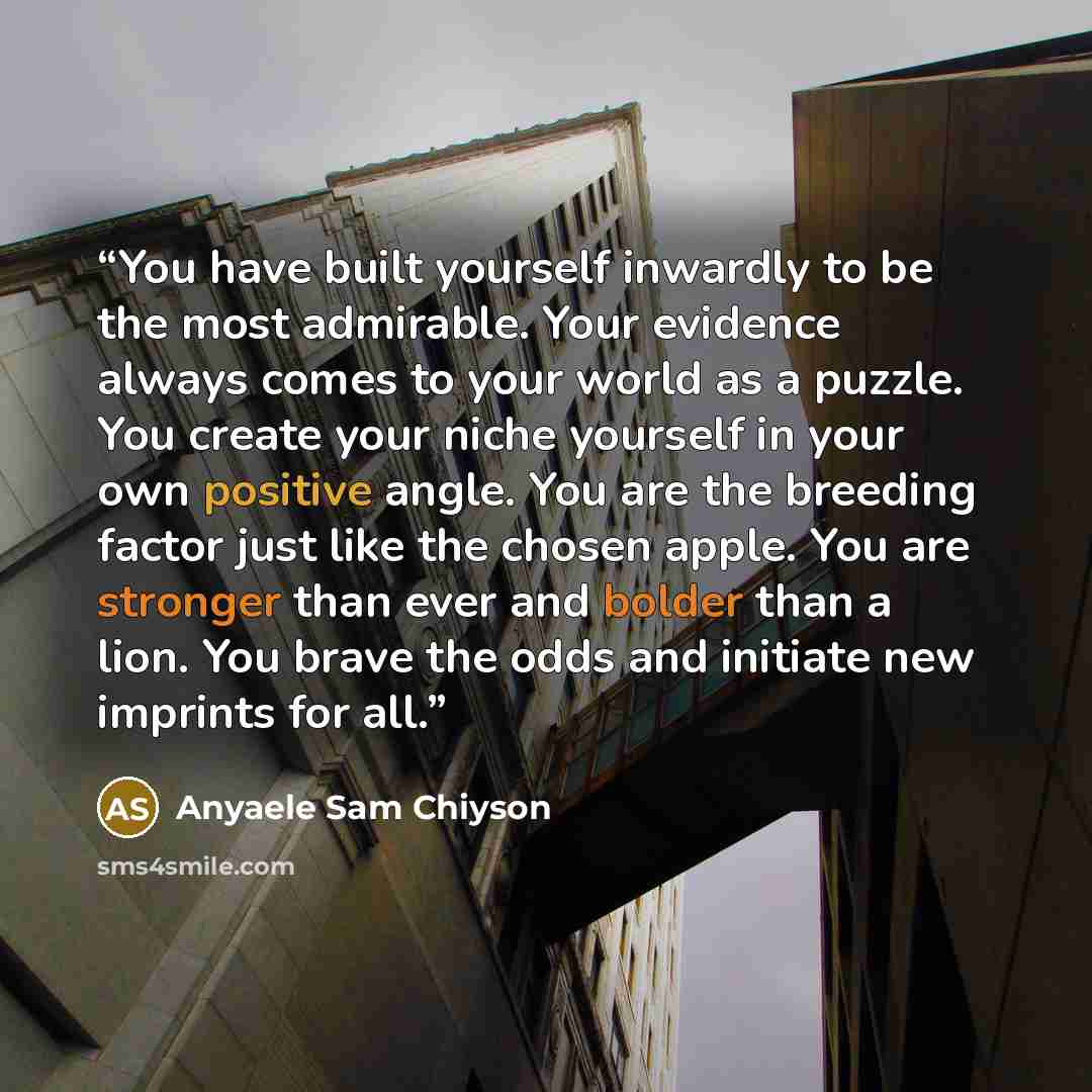“You have built yourself inwardly to be the most admirable. Your evidence always comes to your world as a puzzle. You create your niche yourself in your own positive angle. You are the breeding factor just like the chosen apple. You are stronger than ever and bolder than a lion. You brave the odds…” quote by Anyaele Sam Chiyson