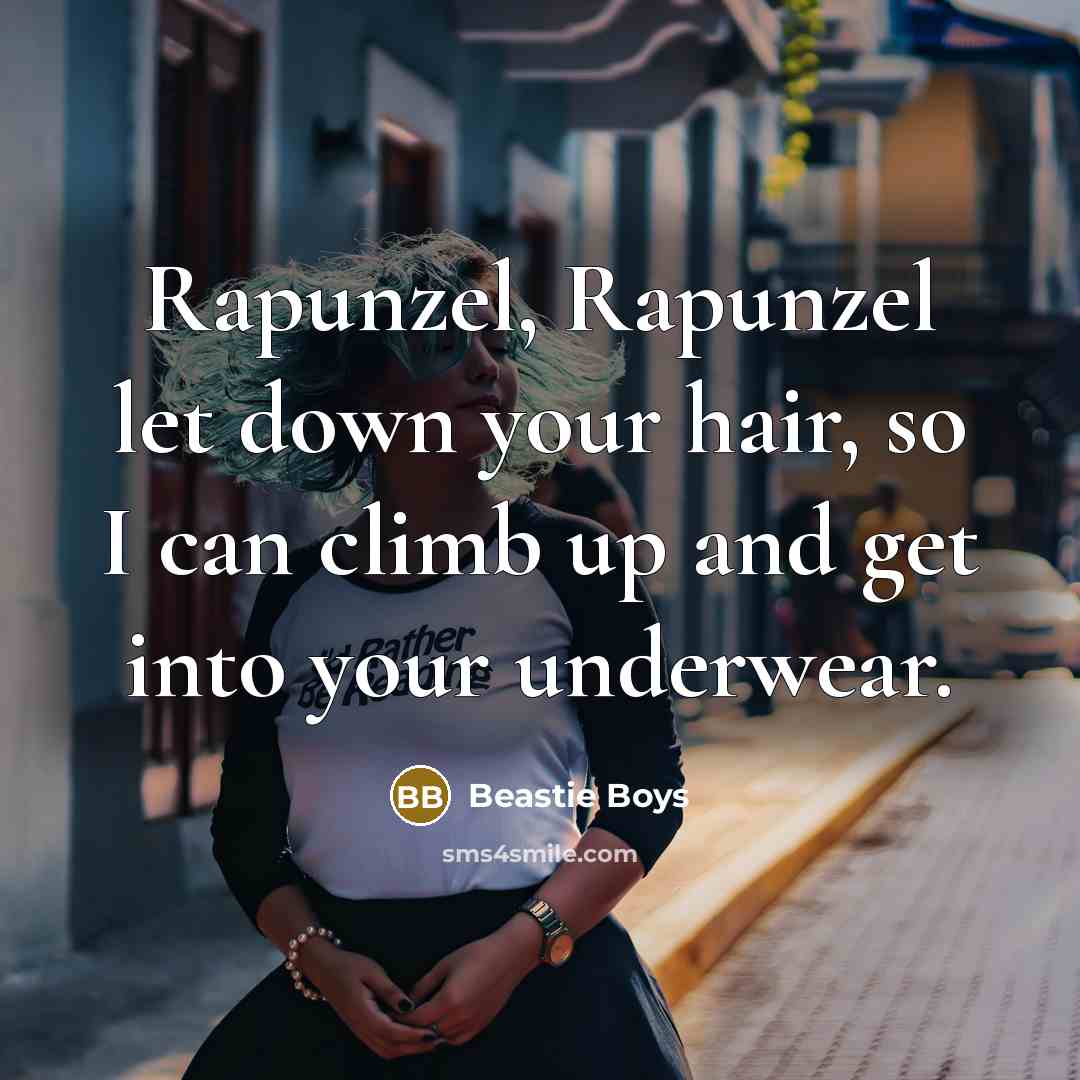 “Rapunzel, Rapunzel let down your hair, so I can climb up and get into your underwear.” quote by Beastie Boys