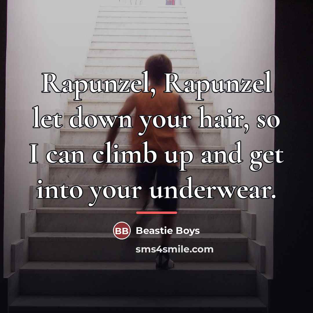 “Rapunzel, Rapunzel let down your hair, so I can climb…” quote by Beastie Boys