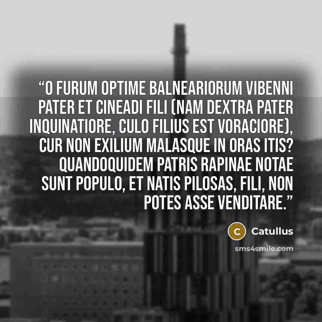 “O furum optime balneariorum Vibenni pater et cineadi fili (nam dextra pater inquinatiore, culo filius est voraciore), cur non exilium malasque in oras itis? quandoquidem patris rapinae notae sunt populo, et natis pilosas, fili, non potes asse venditare.” quote by Catullus