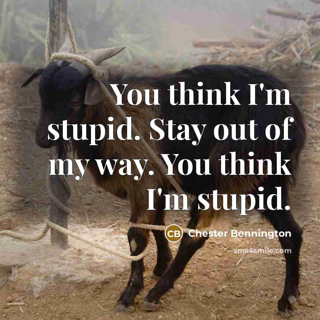 “You think I'm stupid. Stay out of my way. You…” quote by Chester Bennington