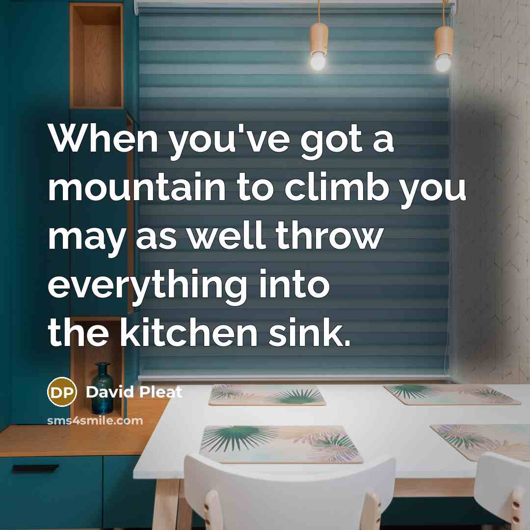“When you've got a mountain to climb you may as…” quote by David Pleat
