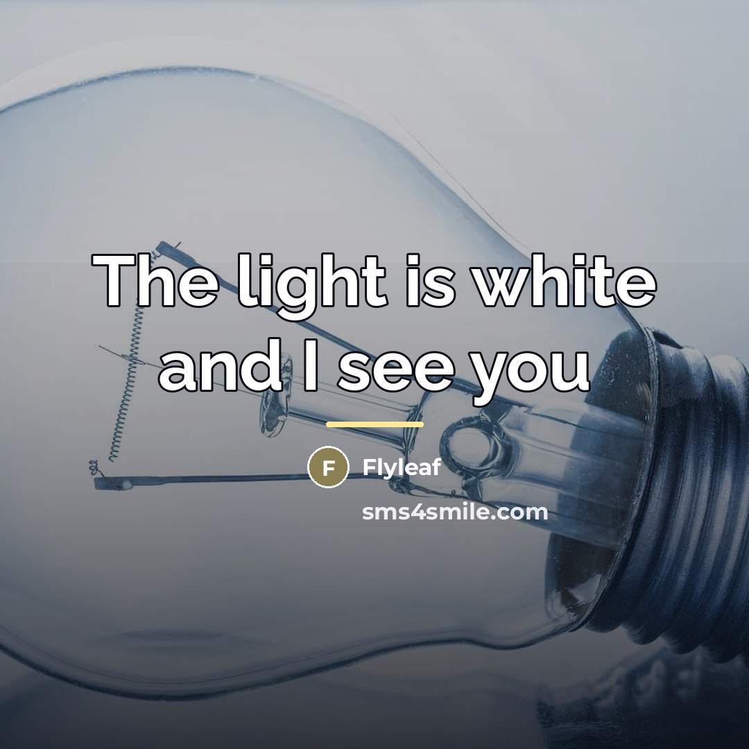 “The light is white and I see you…” quote by Flyleaf