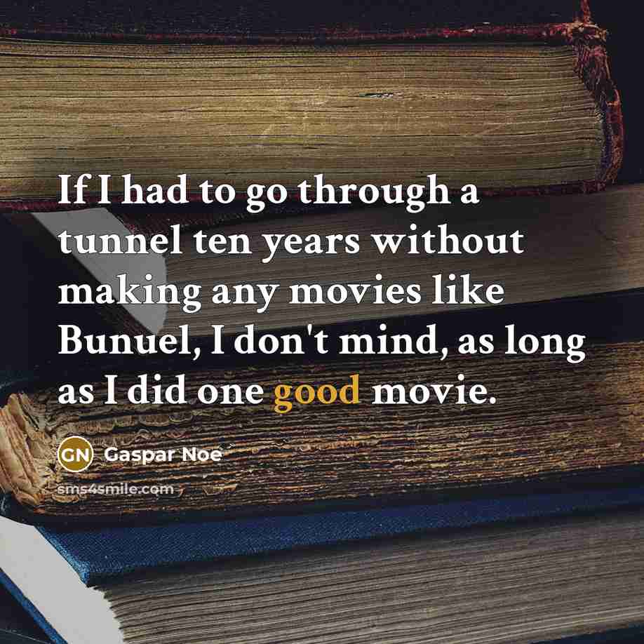 “If I had to go through a tunnel ten years…” quote by Gaspar Noe