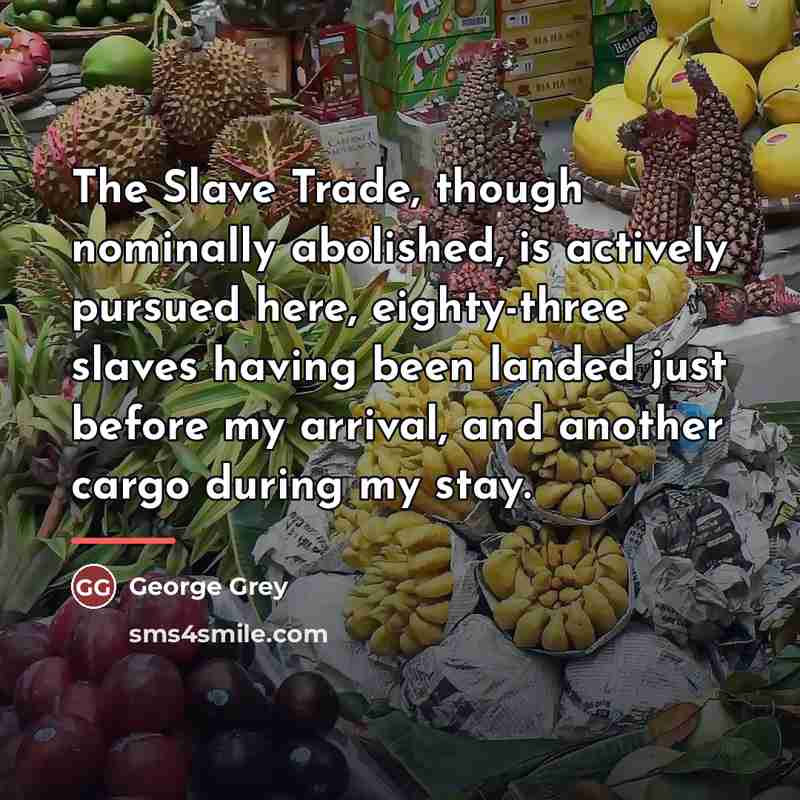 “The Slave Trade, though nominally abolished, is actively pursued here,…” quote by George Grey