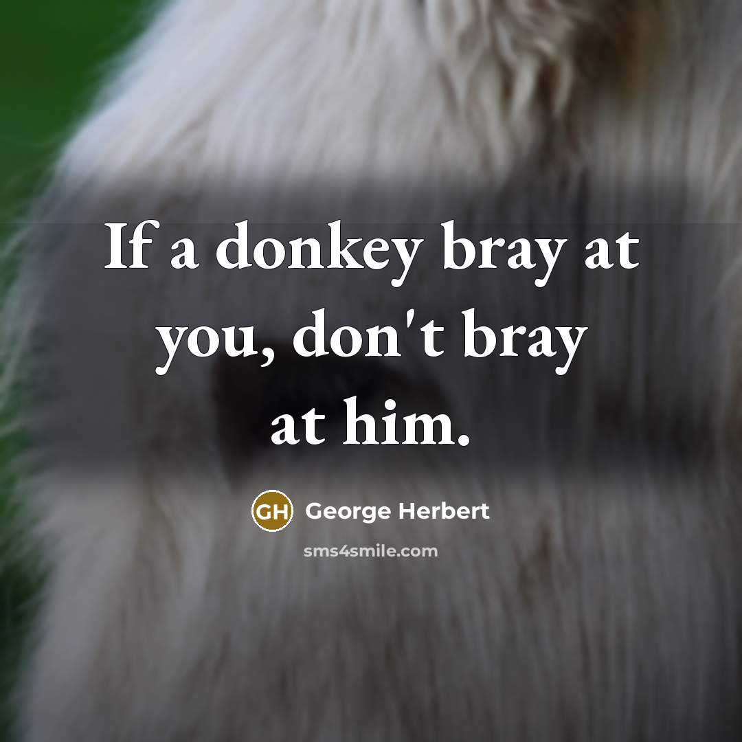 “If a donkey bray at you, don't bray at him.…” quote by George Herbert