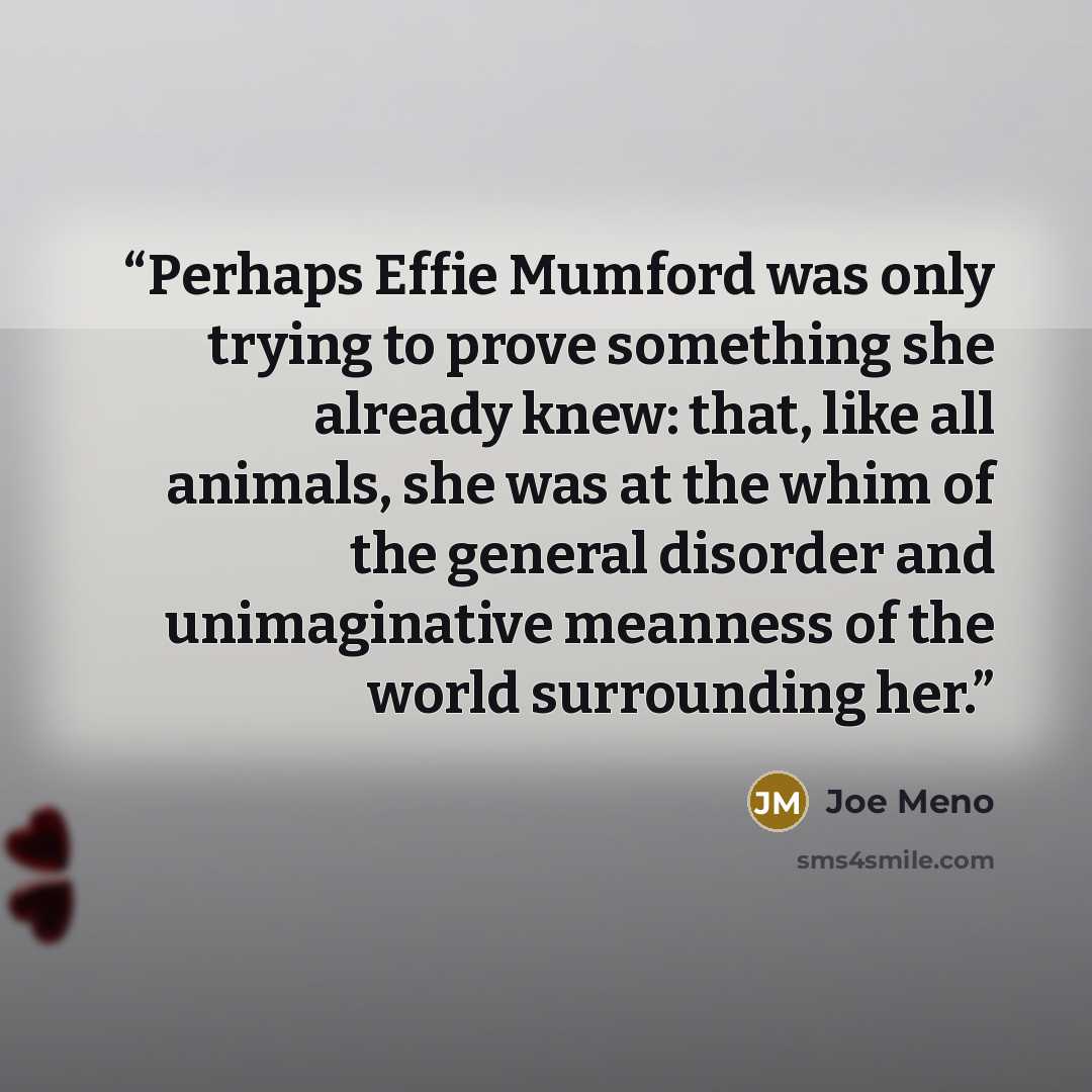 “Perhaps Effie Mumford was only trying to prove something she already knew: that, like all animals, she was at the whim of the general disorder and unimaginative meanness of the world surrounding her.” quote by Joe Meno