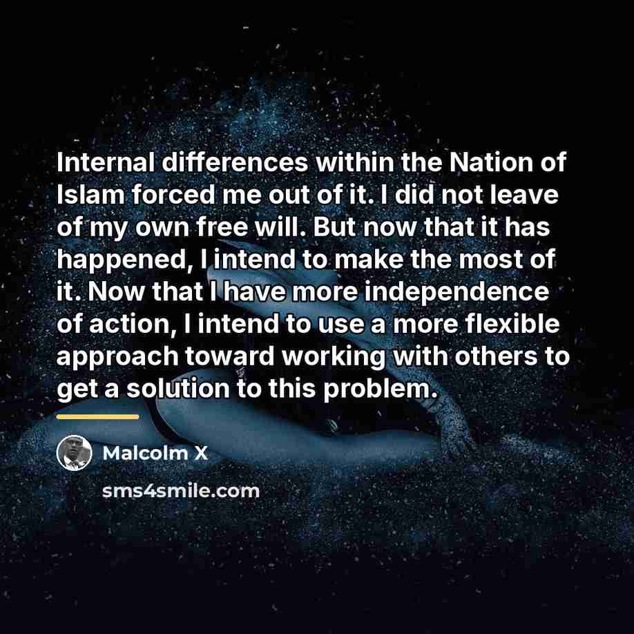 “Internal differences within the Nation of Islam forced me out…” quote by Malcolm X