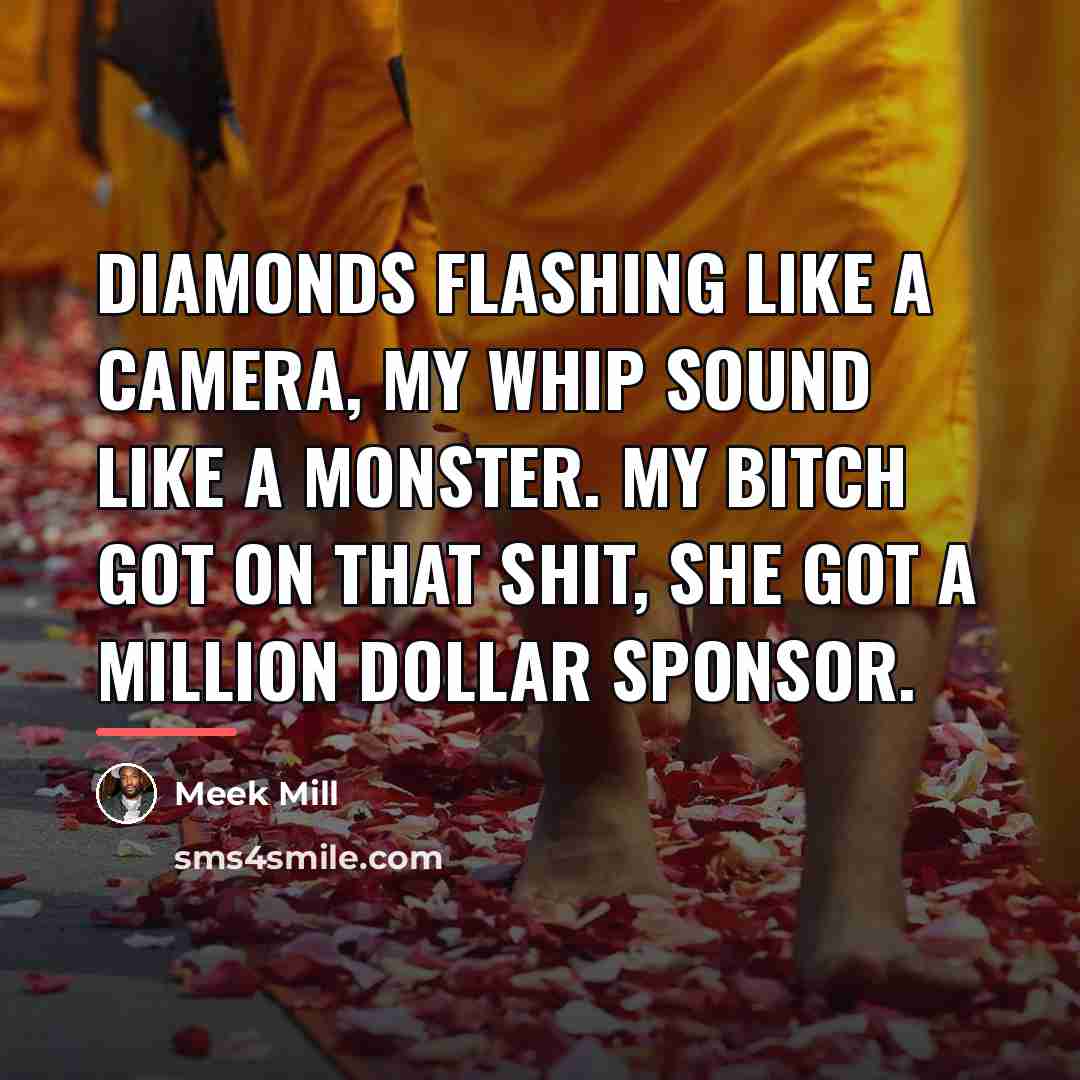 “Diamonds flashing like a camera, my whip sound like a…” quote by Meek Mill