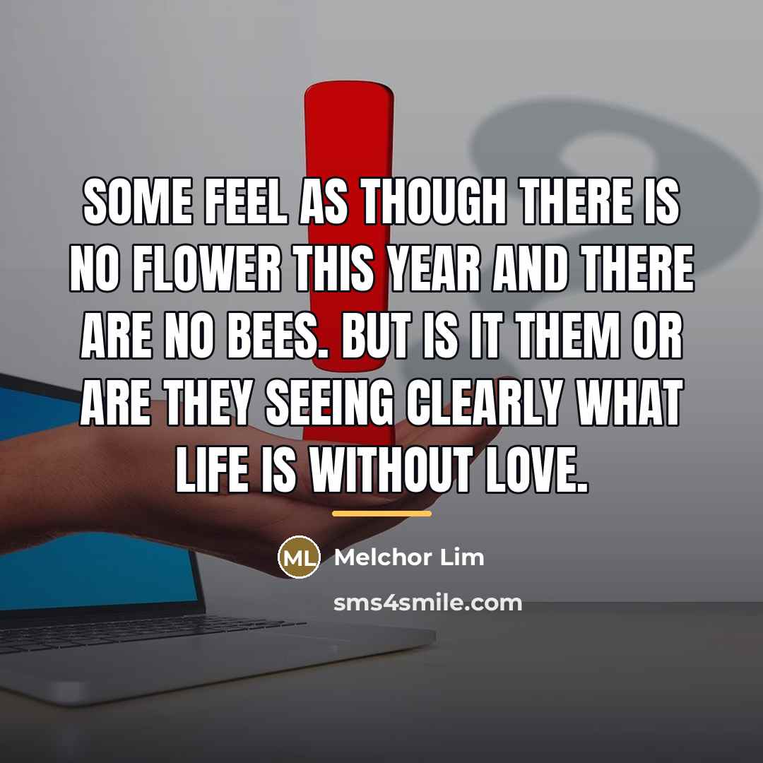 “Some feel as though there is no flower this year…” quote by Melchor Lim