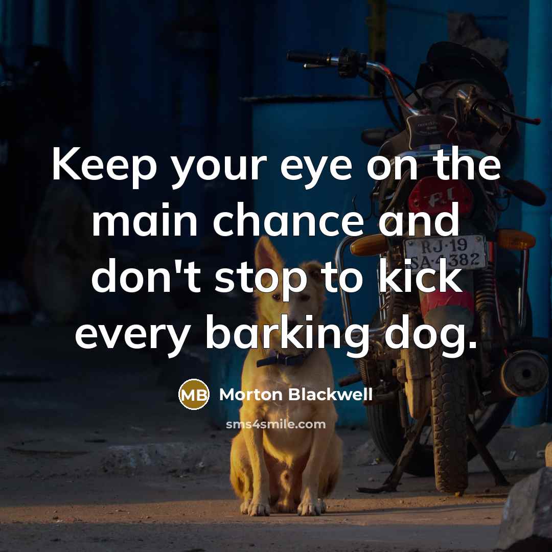 “Keep your eye on the main chance and don't stop…” quote by Morton Blackwell