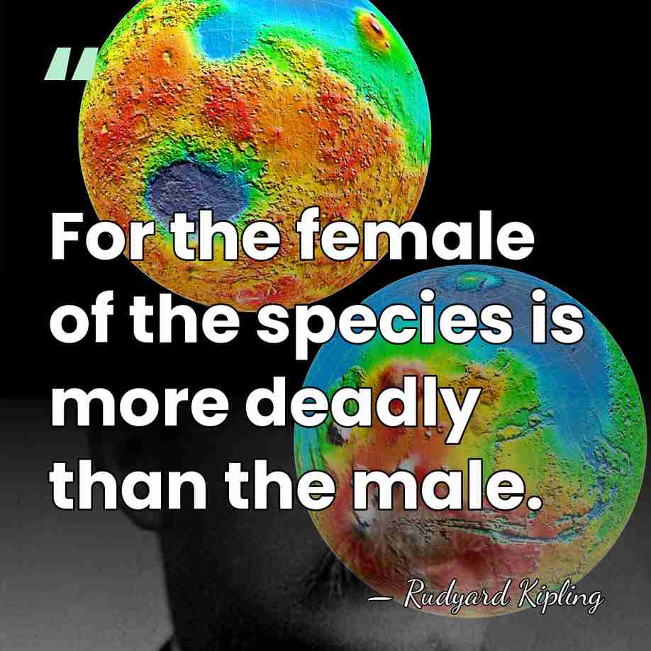 For the female of the species is more deadly than the male. - Rudyard Kipling