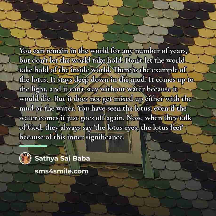 “You can remain in the world for any number of…” quote by Sathya Sai Baba