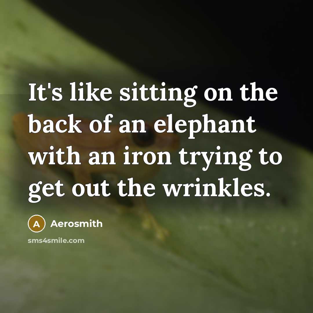 “It's like sitting on the back of an elephant with…” quote by Aerosmith