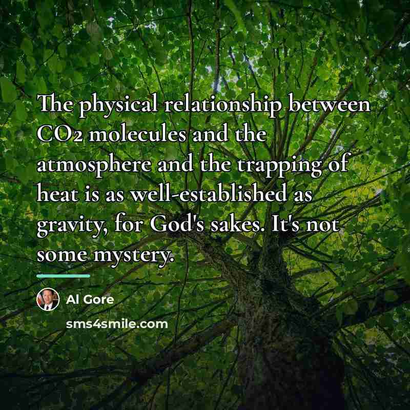 “The physical relationship between CO2 molecules and the atmosphere and…” quote by Al Gore