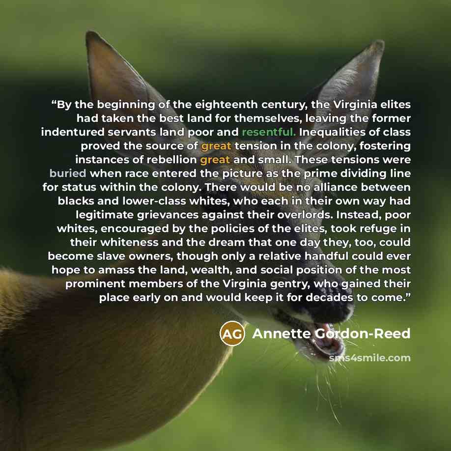 “By the beginning of the eighteenth century, the Virginia elites had taken the best land for themselves, leaving the former indentured servants land poor and resentful. Inequalities of class proved the source of great tension in the colony, fostering instances of rebellion great and small. These…” quote by Annette Gordon-Reed