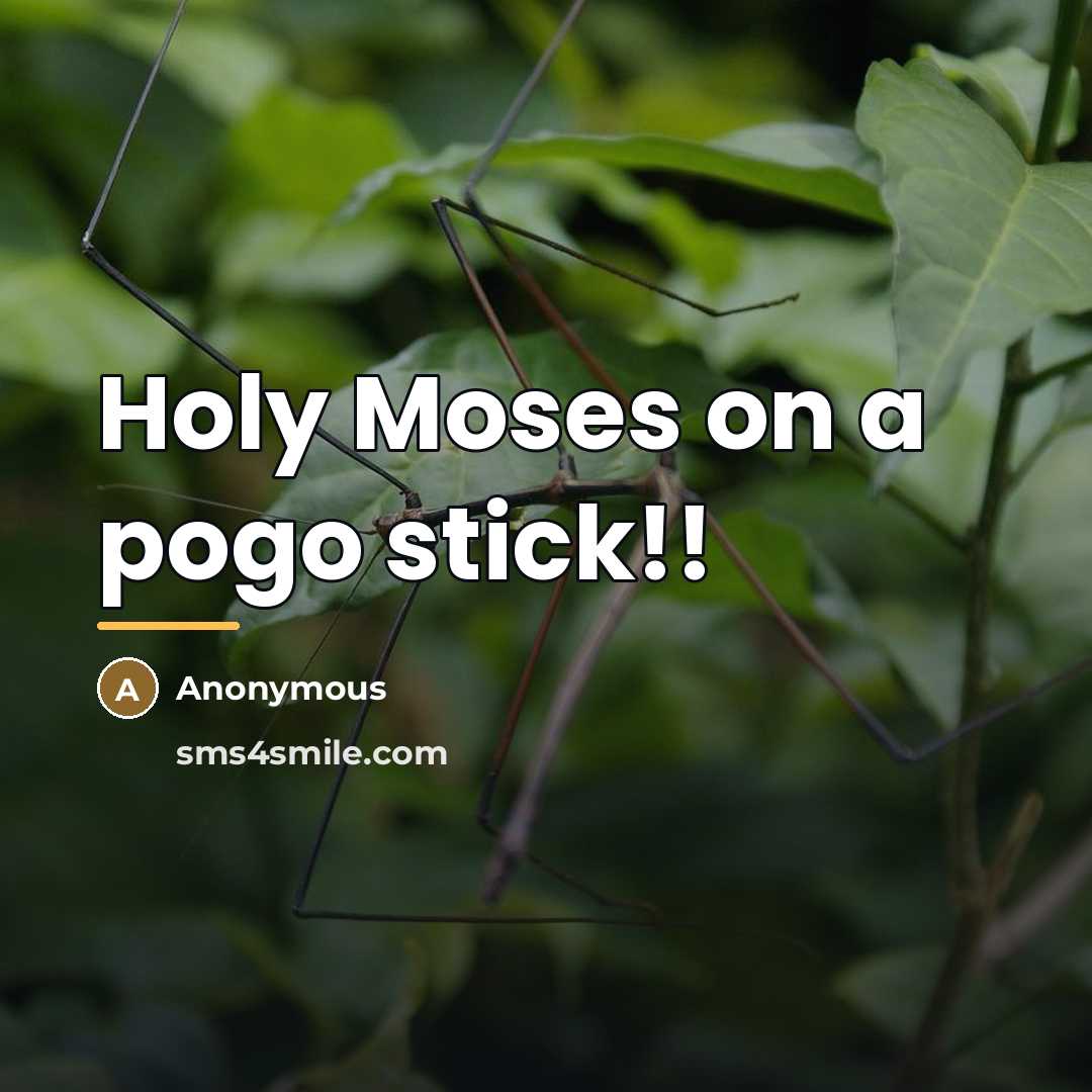 “Holy Moses on a pogo stick!!…” quote by Anonymous