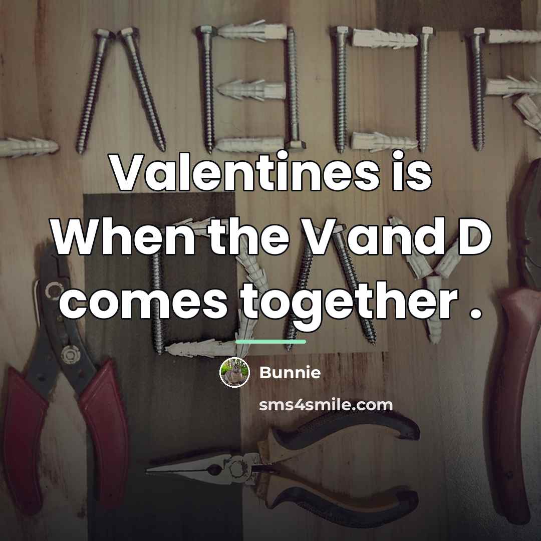“Valentines is When the V and D comes together .…” quote by Bunnie