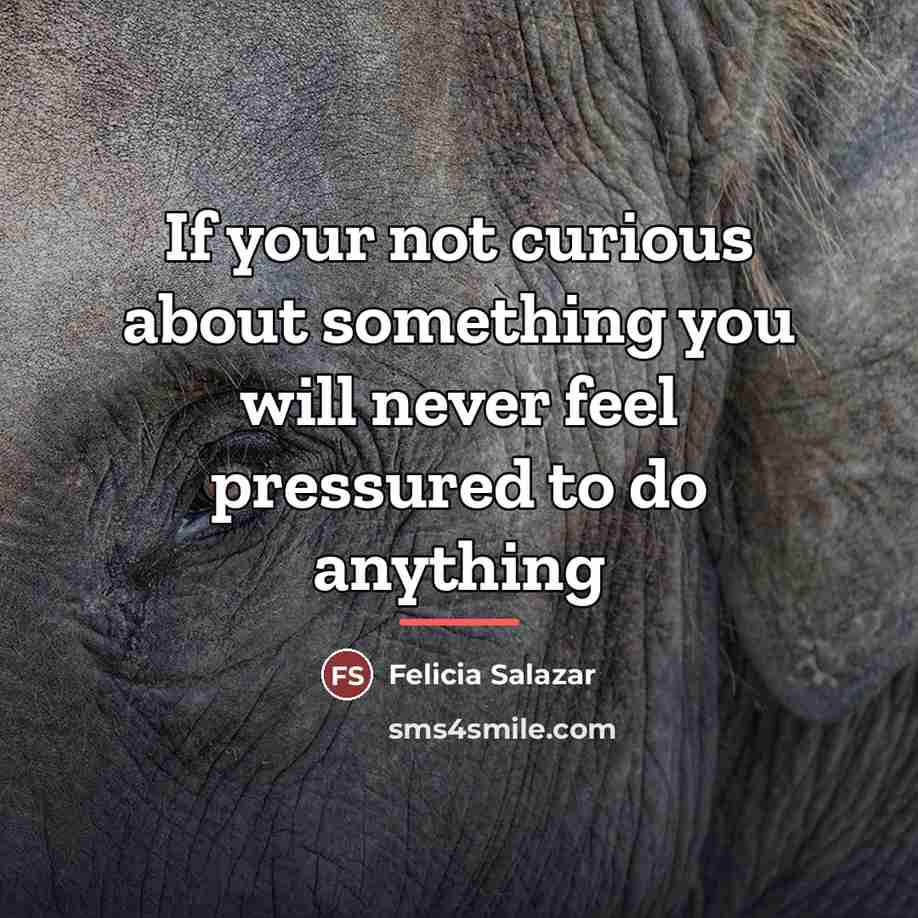 “If your not curious about something you will never feel…” quote by Felicia Salazar