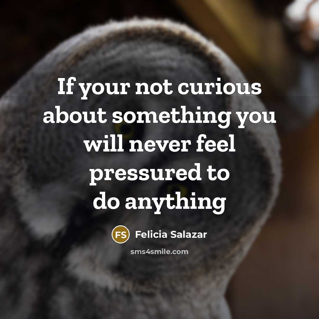 “If your not curious about something you will never feel pressured to do anything” quote by Felicia Salazar