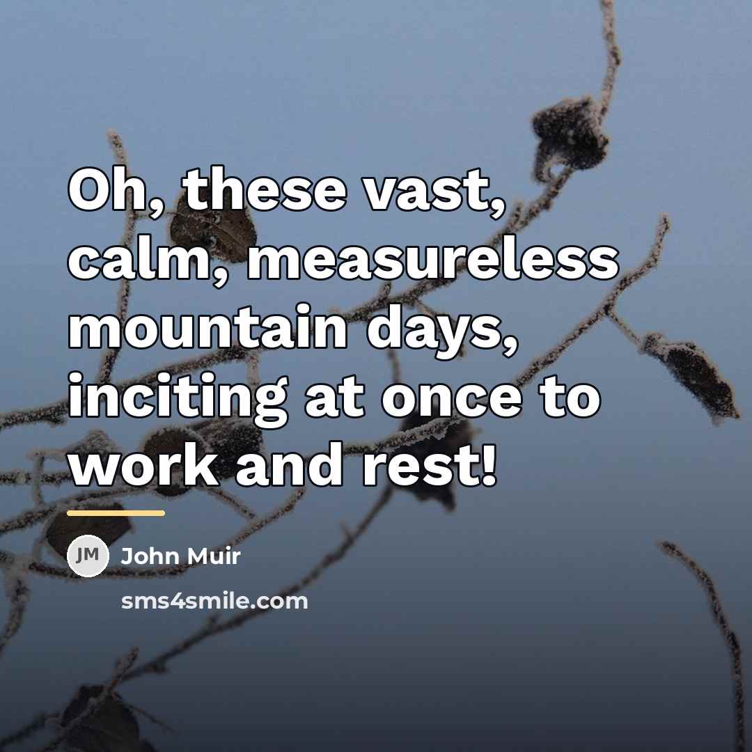 “Oh, these vast, calm, measureless mountain days, inciting at once…” quote by John Muir
