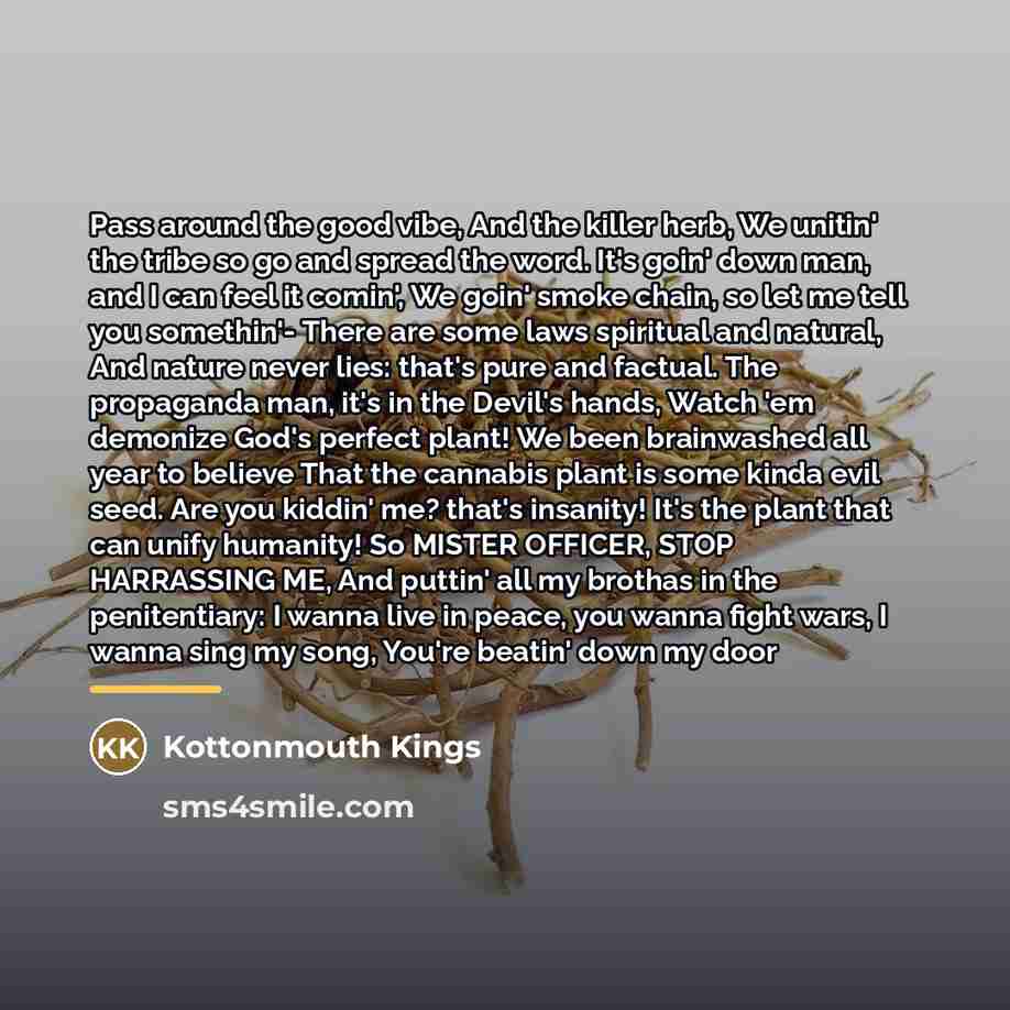 “Pass around the good vibe, And the killer herb, We…” quote by Kottonmouth Kings