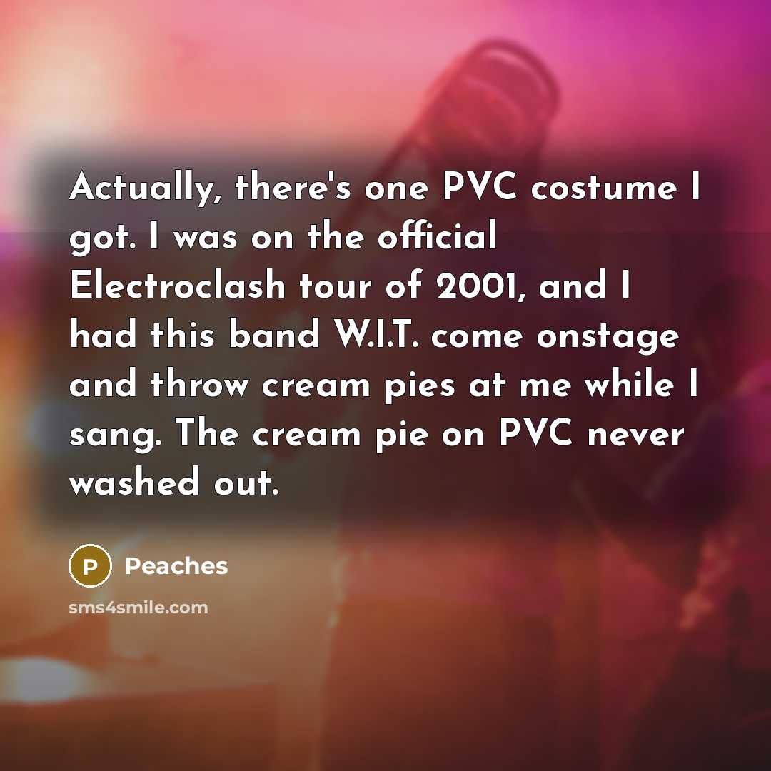 “Actually, there's one PVC costume I got. I was on…” quote by Peaches