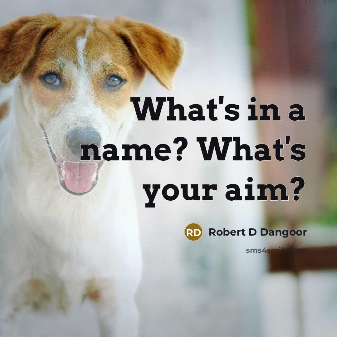 “What's in a name? What's your aim?” quote by Robert D Dangoor