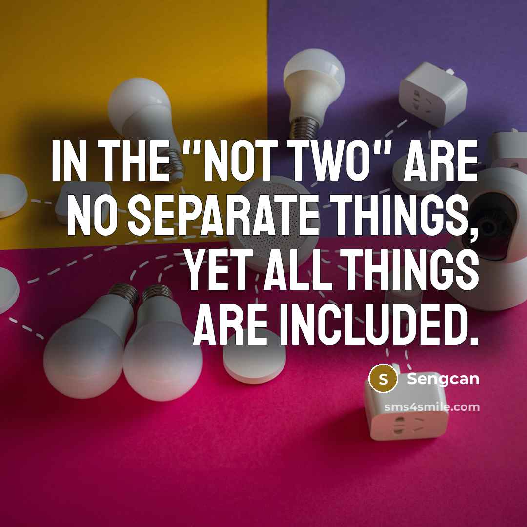 “In the "Not Two" are no separate things, yet all…” quote by Sengcan