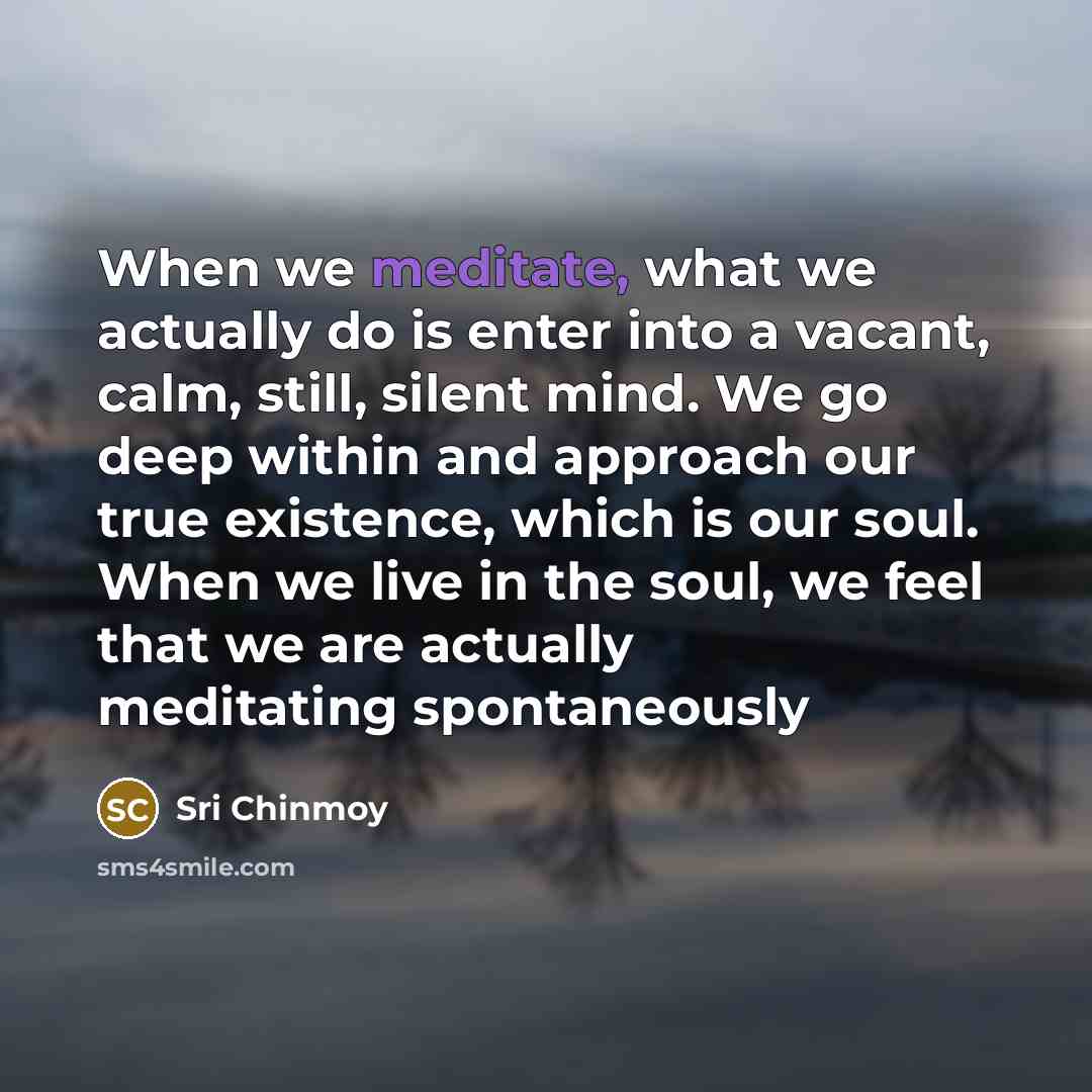 “When we meditate, what we actually do is enter into…” quote by Sri Chinmoy